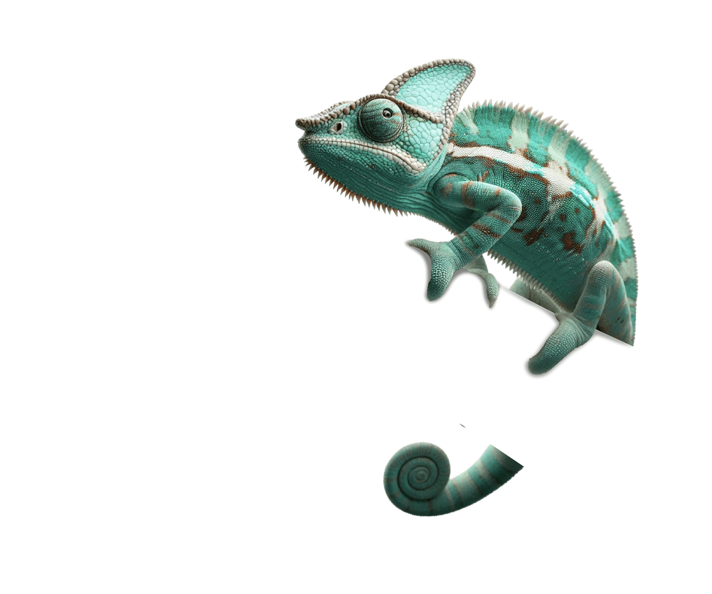 dessta_camaleao_branco.png